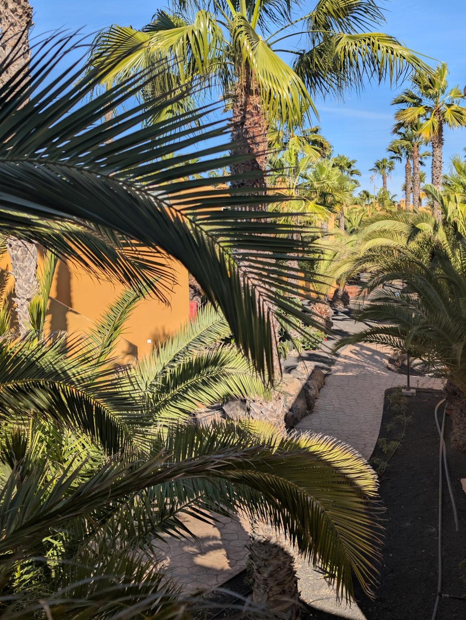 Apartmán Casa Miro Corralejo Exteriér fotografie